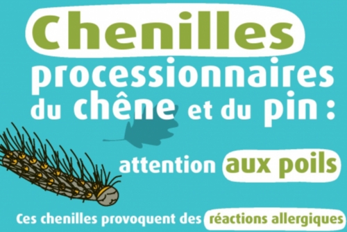 CHENILLES PROCESSIONNAIRES...ATTENTION DANGER CHENILLES PROCESSIONNAIRES...ATTENTION DANGER