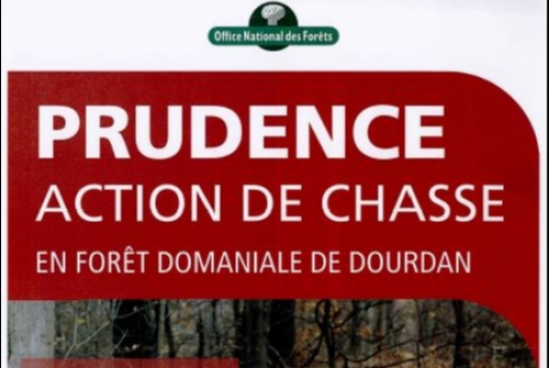 CHASSE EN FORET DOMANIALE DE DOURDAN CHASSE EN FORET DOMANIALE DE DOURDAN