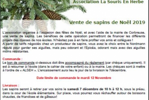vente de sapins de noël vente de sapins de noël